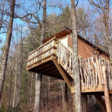 Cabanes Dans Les Arbres Du *