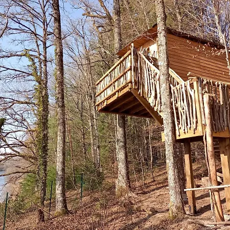 Cabanes Dans Les Arbres Du *