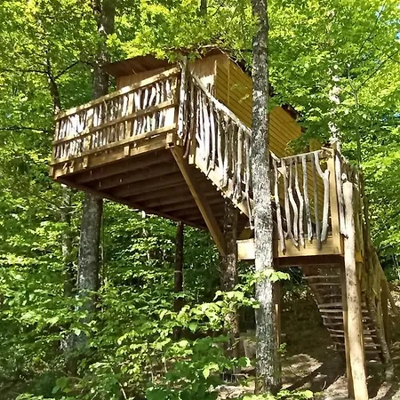 Cabanes Dans Les Arbres Du * Saint-Etienne-Cantales