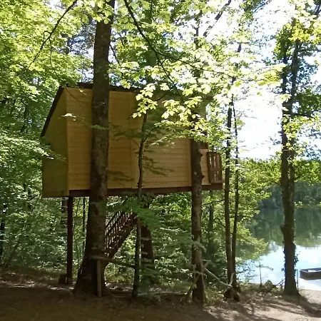 Country house Cabanes Dans Les Arbres Du *
