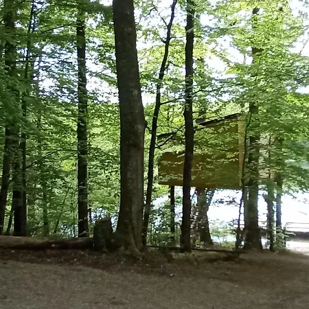 Cabanes Dans Les Arbres Du * Saint-Etienne-Cantales