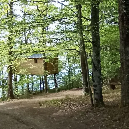 Cabanes Dans Les Arbres Du