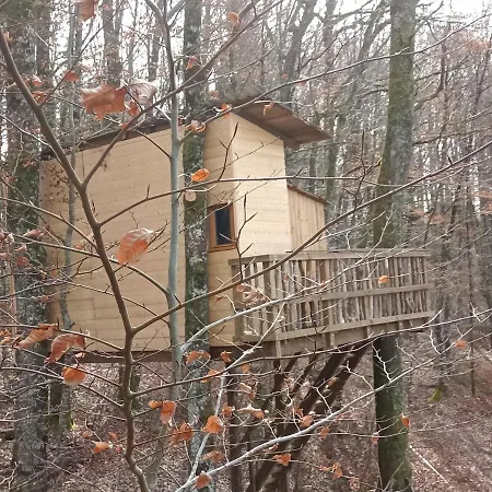 Country house Cabanes Dans Les Arbres Du *