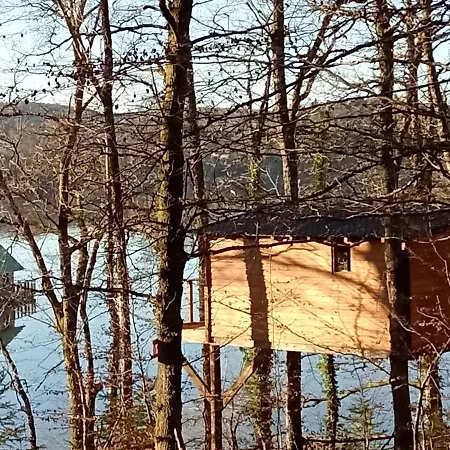 Cabanes Dans Les Arbres Du Country house