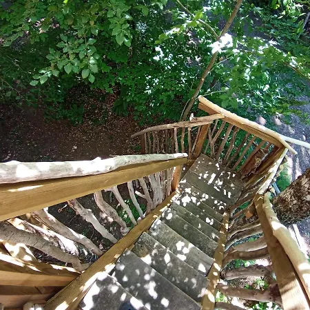 Cabanes Dans Les Arbres Du
